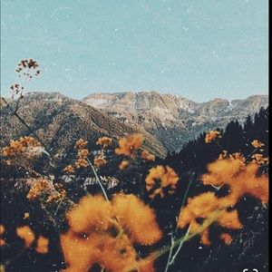 Meet your Posher, Faith